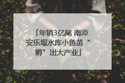 年销3亿尾 南漳安乐堰水库小鱼苗“孵”出大产业